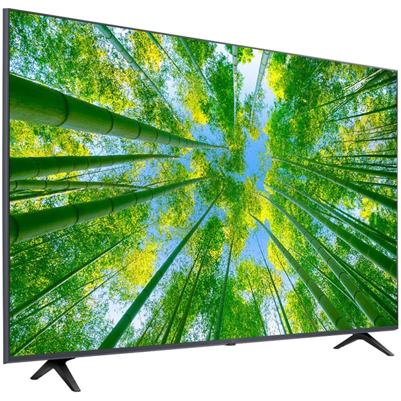 تلویزیون 4K ال جی 65UQ8000 مونتاژ مصر و اندونزی